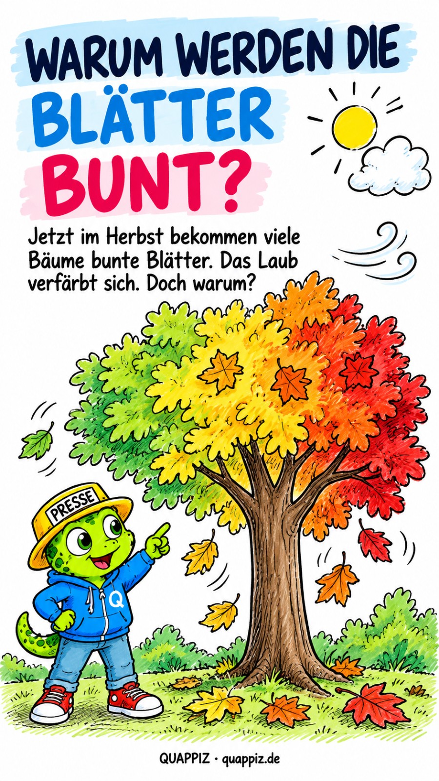 Warum werden die Blätter bunt?